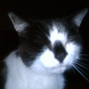 shesoldhersoultothemusic avatar