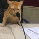 shestolemycorn avatar