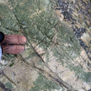 shethoughtshewasthepassionateone avatar