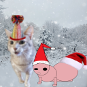 shewhohathcats avatar