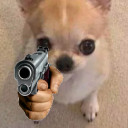 shewhowalksbehindtherows avatar