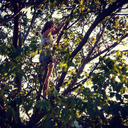 shexisxaxrunaway avatar