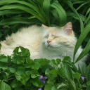 shez-kindathat-hot1995 avatar