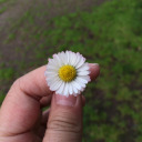 shhhhnotadoctor avatar