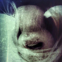 shhhsmile-blog avatar