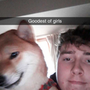 shibawithashotgun-blog avatar