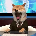 shibe-rampant avatar