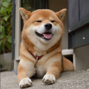 shibeshib avatar