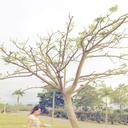 shiero-ssi-blog avatar