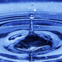 shifting-waters avatar