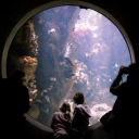 shiftingrealities444 avatar