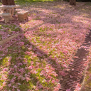 shiftingwithaudalynn avatar