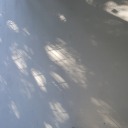 shiftlessness avatar