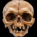 shiftsmyshape avatar