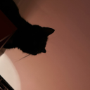 shigatsukanojo avatar