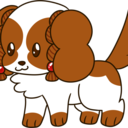 shih-tsu avatar