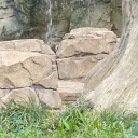 shiloh-kace-the-antifrog avatar