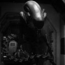 shilohs-things avatar