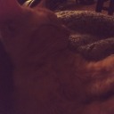 shilomoonlight avatar