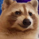 shimizuivysblog avatar