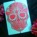 shimmeringceremony avatar