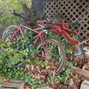 shimmeringsecrets avatar