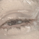 shimmershifts avatar