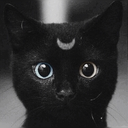 shine-like-moon avatar