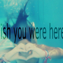 shine-with-love avatar