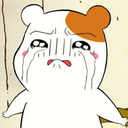 shineeblingblingforever avatar