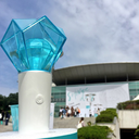 shineebug avatar