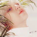 shineeisfivex avatar