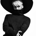 shineepenguin avatar