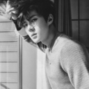 shineesbackx-blog avatar