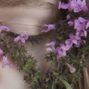 shinefae-blog avatar