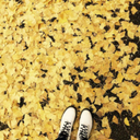 shinesinthenight avatar