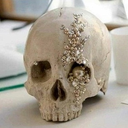 shinesnsparkles-blog avatar