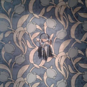 shinigamisuicide avatar