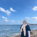 shining-phoenix avatar