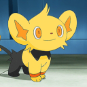 shining-shinx avatar