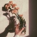 shining-universe avatar