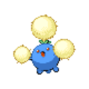 shiningpokemonegg avatar