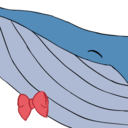 shiningwhales-blog avatar