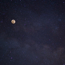 shiningwolves avatar