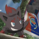 shiningzorua avatar