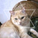 shinsui-f-works avatar