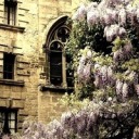 shintetsukado avatar