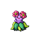 shiny-bellossom avatar