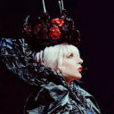 shiny-rowlett avatar