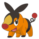 shiny-tepig avatar